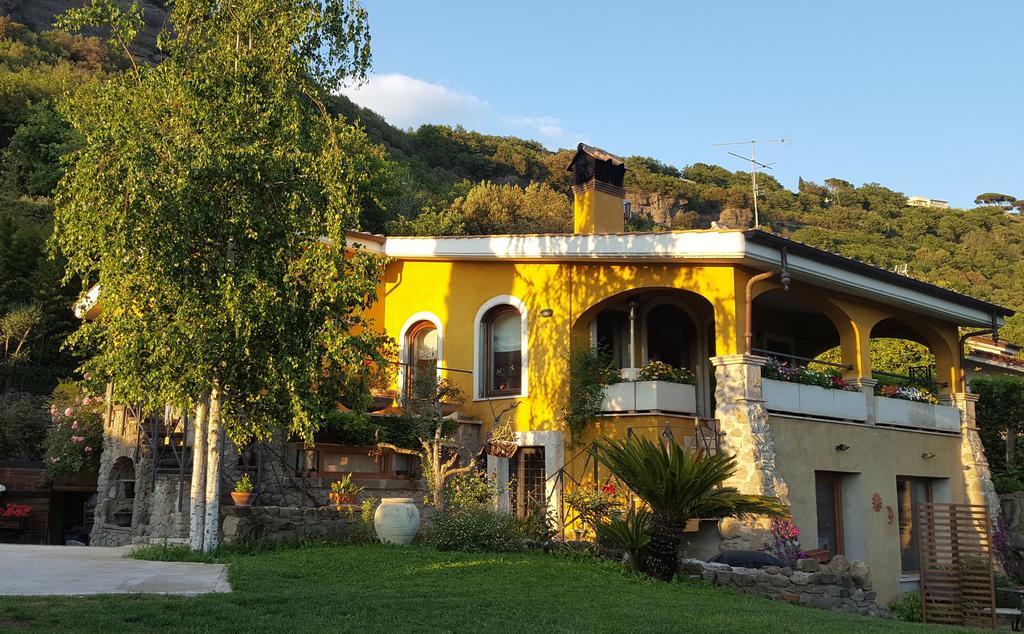 Il Nido Del Falco Bed & Breakfast Castel Gandolfo Exterior photo