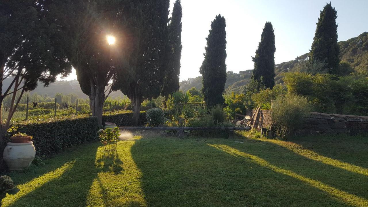 Il Nido Del Falco Bed & Breakfast Castel Gandolfo Exterior photo